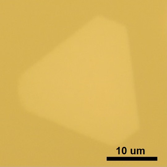 Microflakes